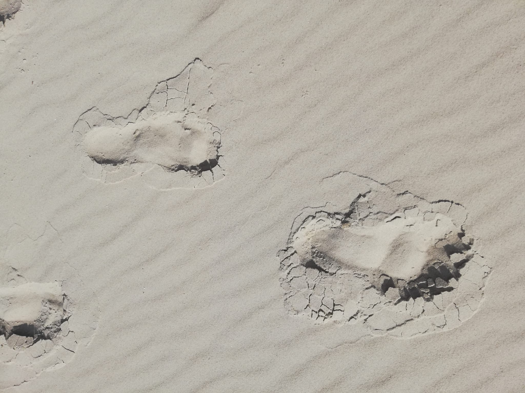 Fuß im Sand auf Amrum